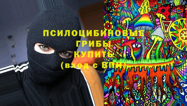 ПСИЛОЦИБИНОВЫЕ ГРИБЫ Покровск