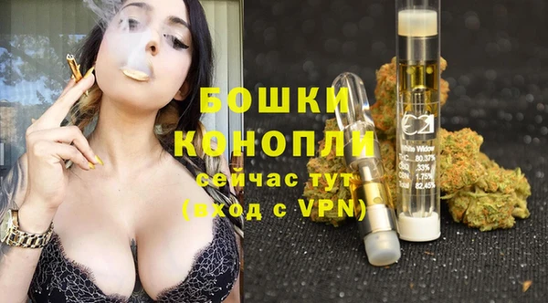 ПСИЛОЦИБИНОВЫЕ ГРИБЫ Покровск