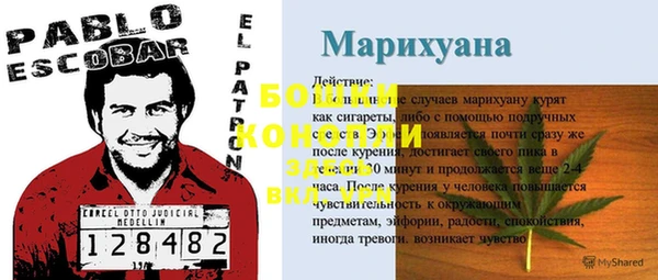 ПСИЛОЦИБИНОВЫЕ ГРИБЫ Покровск