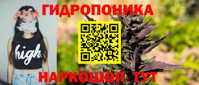 мдпв Рузаевка