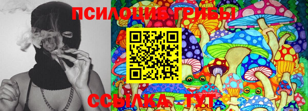 Галлюциногенные грибы прущие грибы Рузаевка
